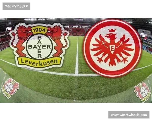 德甲联赛协会运营管理与德国足协间接规管的关系与作用分析